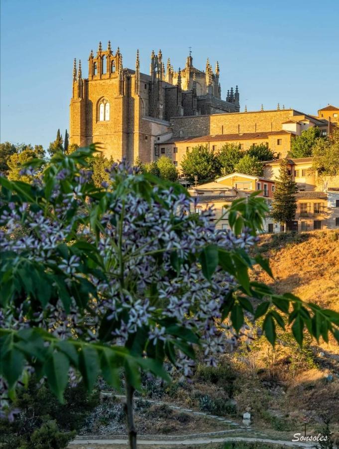 Ferienwohnung Vega Del Tajo- Con Parking Gratis Toledo Exterior foto